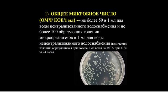 13:20-14:50 Гигиена воды и водоснабжения смотреть онлайн