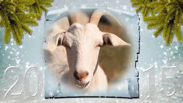 Кулинарные рецепты