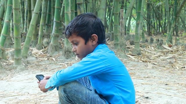 Anaconda Snake 3 in Real Life Video смотреть онлайн