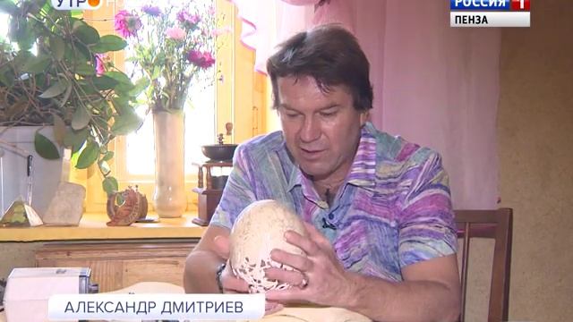 Как из обычной яичной скорлупы сделать произведения искусства смотреть онлайн