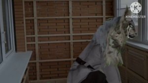 топ 5 страшилок по WildCraft [12+]