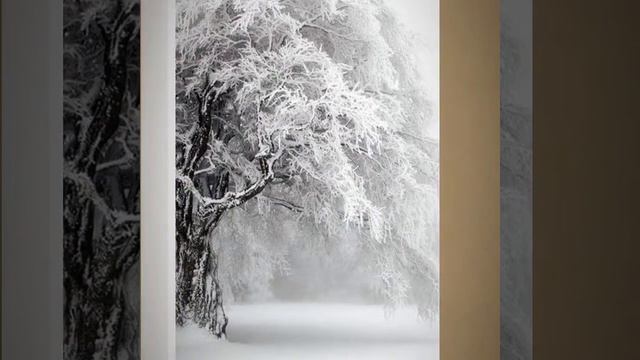 Первый день зимы 🎁🎄⛄🎅 смотреть онлайн
