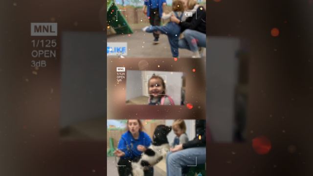 счастливый пес смотреть онлайн