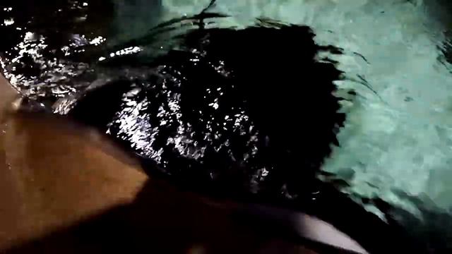 Океанариум в Санкт-Петербурге. смотреть онлайн