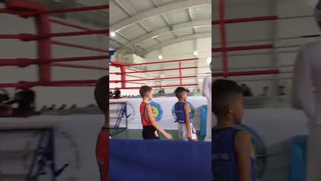 Мы играем в драку