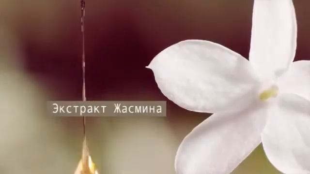 НОВЫЙ TIMOTEI ДРАГОЦЕННЫЕ МАСЛА смотреть онлайн