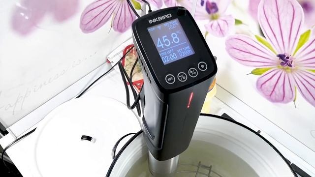 24 часа при 70 градусах Готовлю 2 вида мяса смотреть онлайн