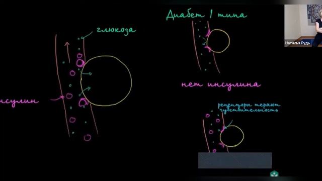 Вебинар Введение в эндокринную систему | Сахар в крови | Гормональная гимнастика для баланса смотреть онлайн