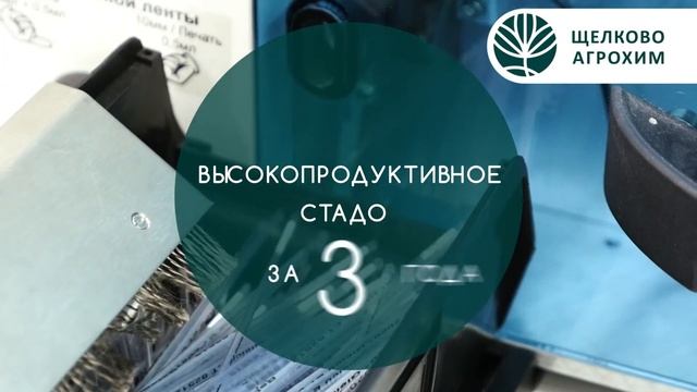 Эмбрионы КРС - Бетагран Липецк смотреть онлайн
