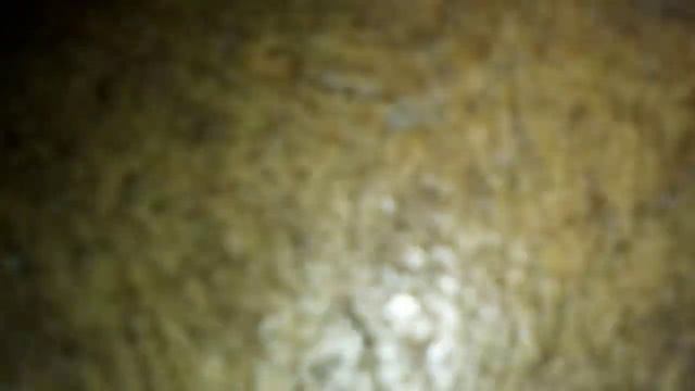 OCT 31, 2022 MONDAY BLOOD Sucking FLESH eating demonic WORM ate a HOLE behind my EARS in ARKANSAS смотреть онлайн