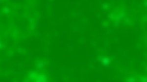 Футаж. Фон для видеомонтажа 483