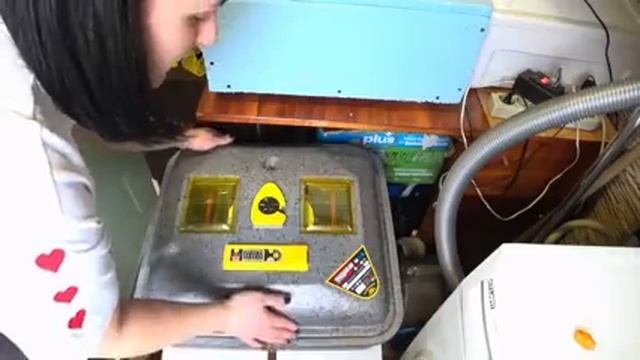 что делать с старыми гусиными яйцами? уже никуда не влазят!!! инкубация гусиных яиц. смотреть онлайн