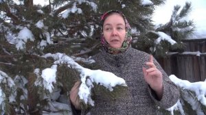 МОЛОЧНАЯ СЫВОРОТКА || Полезные свойства и советы по применению