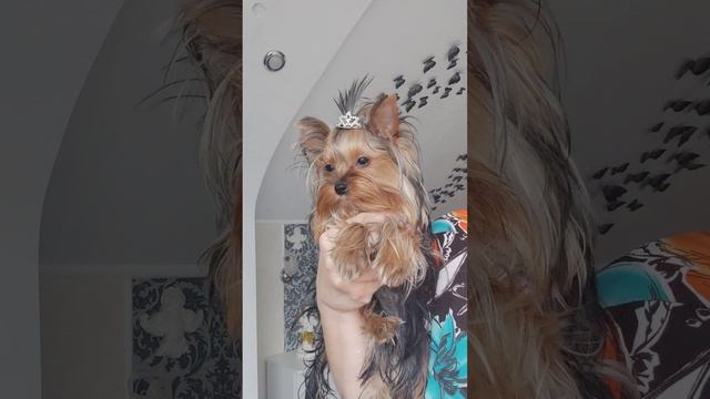 Куколка ждёт маму.Доставка возможна 🤗+79788972514 смотреть онлайн