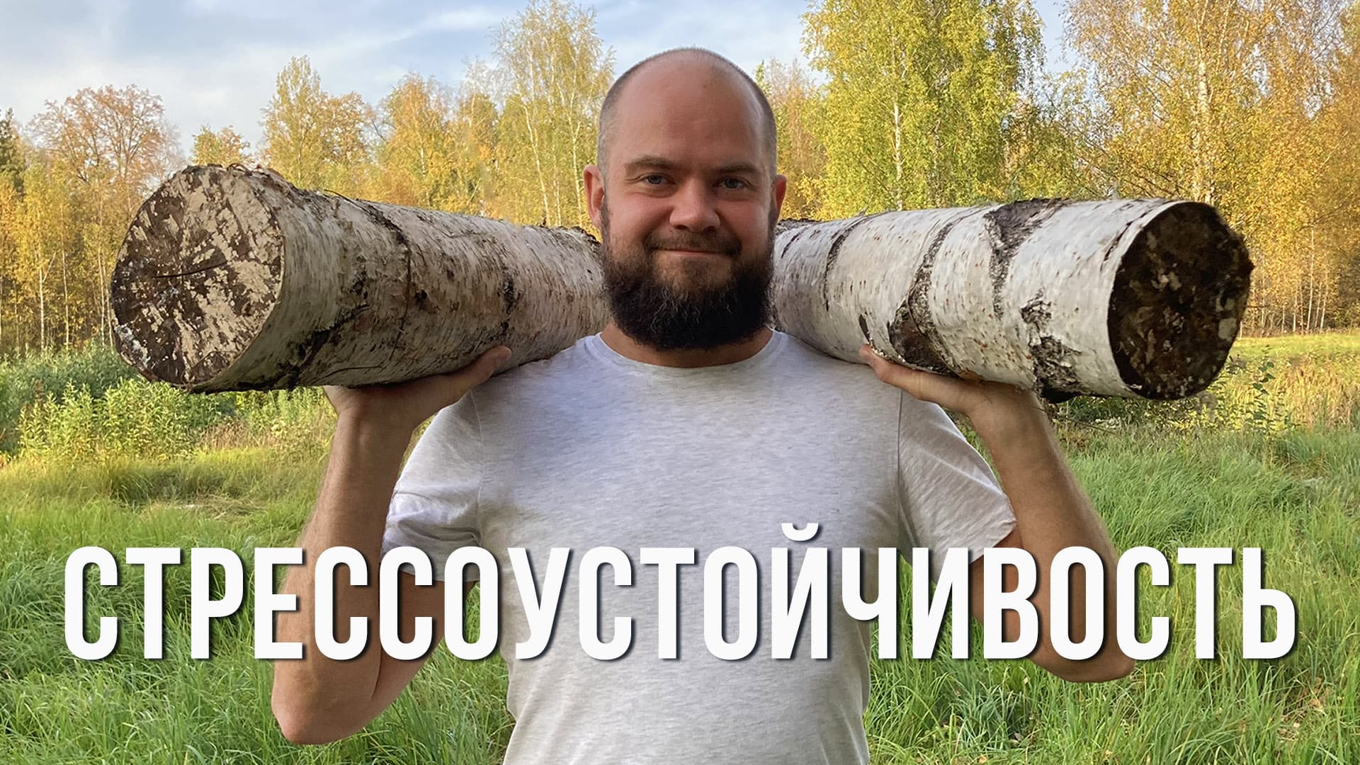 Ашрам Психолога