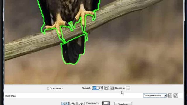 Уроки PaintShop: извлечение объектов