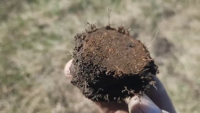 Nokta Makro Legend Первый коп 2023 с прибором Нокта Макро Легенд поиск монет с металлоискателем смотреть онлайн