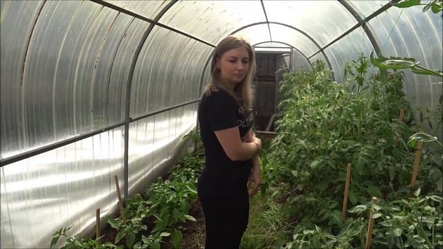 ВЛОГ СОБИРАЕМ КЛУБНИКУ/ЖАРИМ ШАШЛЫК