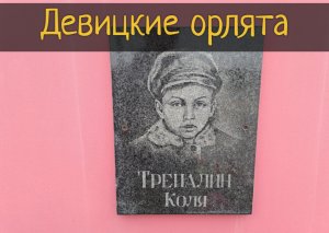 Девицкие орлята. Подвиг школьников, забытый на десятилетия