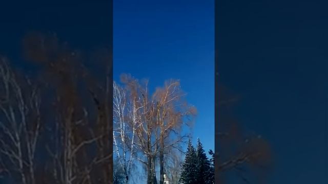 Сибирская зимушка! смотреть онлайн