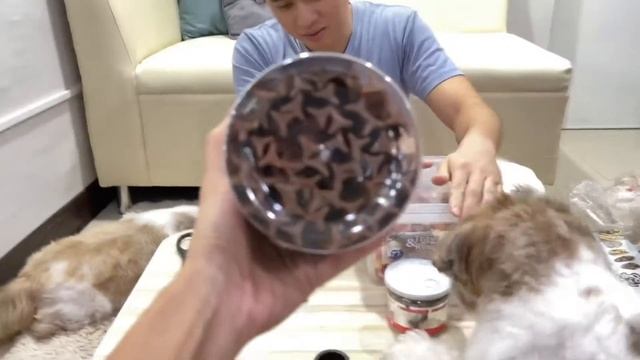 UNBOXING!!! Treats and vitamins for shih tzus! | Fun games using snuffle mat смотреть онлайн