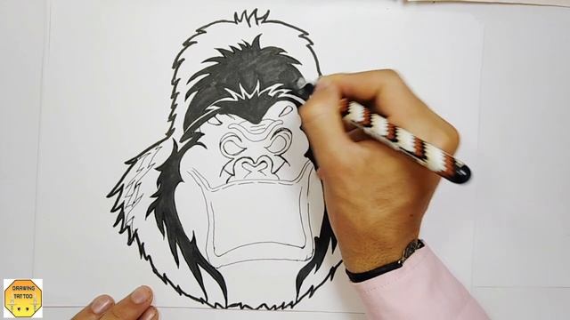 How to Draw a Gorilla Face - Gorilla Tattoo Drawing смотреть онлайн