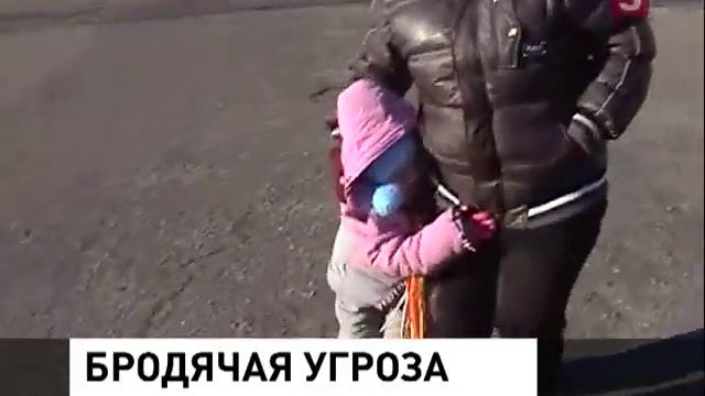миллион за собачьи укусы 5тв смотреть онлайн