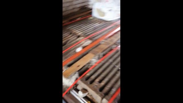 Строим зимнюю теплицу для круглогодичного выращивания Бонсай смотреть онлайн