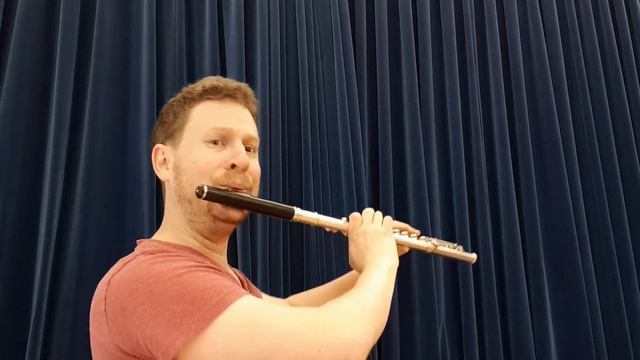 Bach flute Sonata in C major, BWV 1033, 1st movement: Andante смотреть онлайн