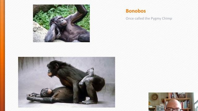 The Evolution of Sexuality 1 смотреть онлайн