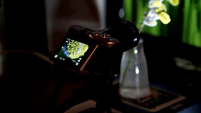 industar 61 ld - macro lens ? ( 3й год допиливания)) смотреть онлайн