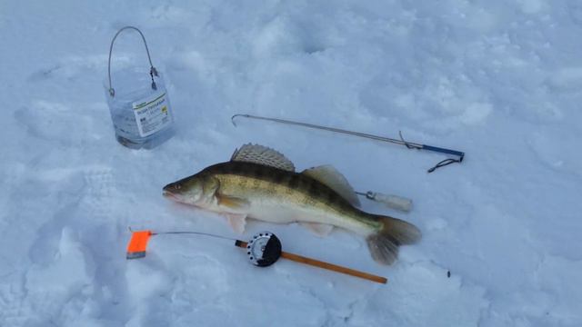 Проверка багра, дубль 2. смотреть онлайн