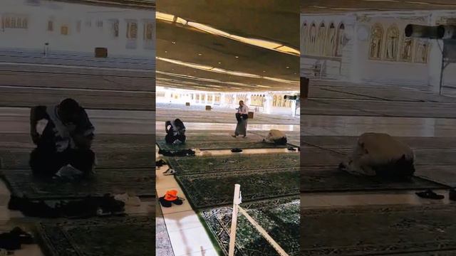 на крыше мечети харам в Медине.. смотреть онлайн