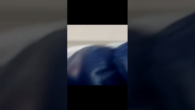 VID-20220519-WA00011 смотреть онлайн