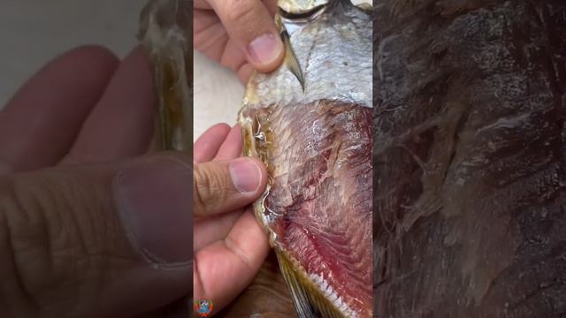 А вы любите тарашку? Такую жирненькую и икряную?😋 #тарашка #вяленаярыба смотреть онлайн