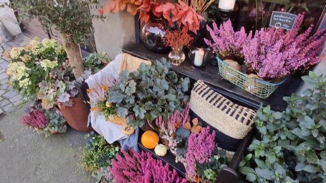 Без трусов по городу without panties in the city #безтрусов #трусы #город смотреть онлайн