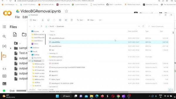 Transparent Background Remove Blur Green Screen Background in Videos Python Code Tutorial