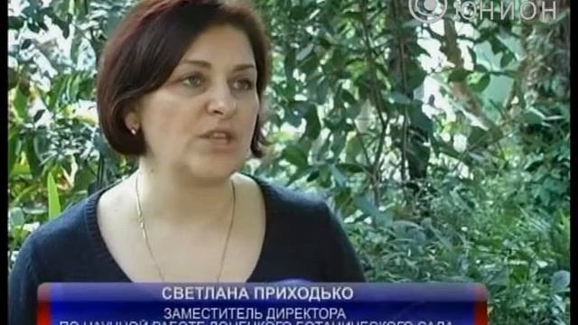 Создадут крупнейший сад георгин