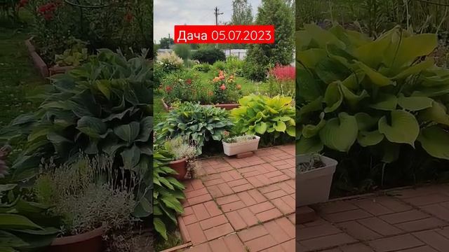 Дача #дача #отдых #дом #загородом #дачныедома #природа #мир #мироздание #лес #турбаза смотреть онлайн