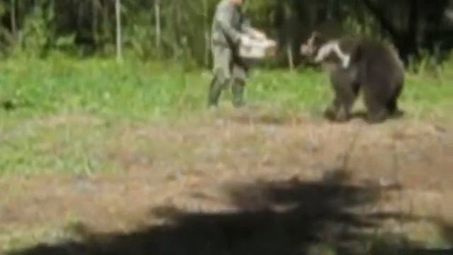 Медвежий водопой