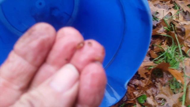 Heater Core Flush...Never Ending. 2000 Ford Expedition and maybe your vehicle. смотреть онлайн