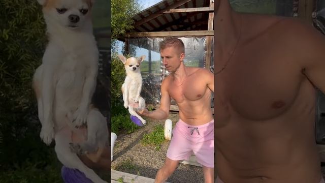 БАЛАНС ВО ВСЕМ смотреть онлайн