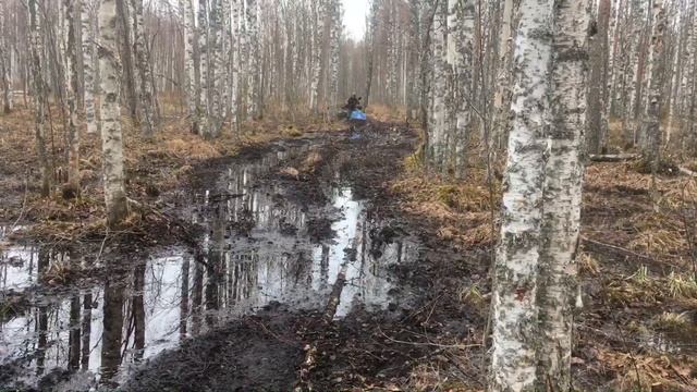 Мотобуксировщик Помор 650 на весенней охоте смотреть онлайн