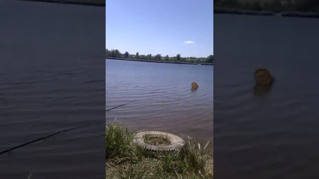 зонтик на рыбалке смотреть онлайн