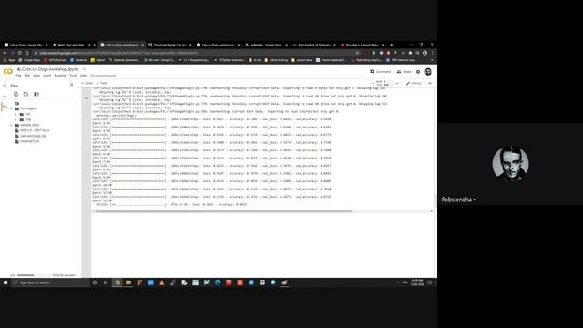 Cats vs Dogs classifier using Tensorflow смотреть онлайн