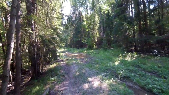 Петергоф - г.Колокольня - Зрекино - Порожки - Оржицы - Петергоф 15 июля 2018 смотреть онлайн