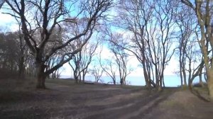 Сад Яхно | Веселовка