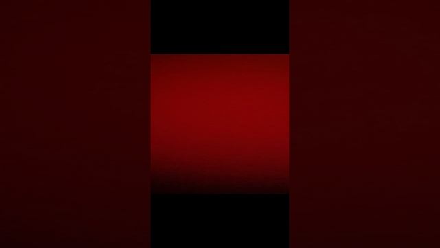 VID_20230304_154618.mp4