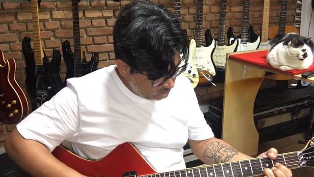 Guitarra Washburn Stage Series A10 смотреть онлайн