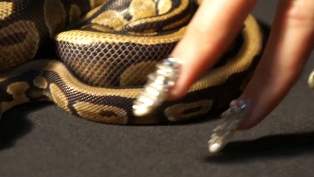 Гелевое наращивание ногтей со стразами Swarovski смотреть онлайн